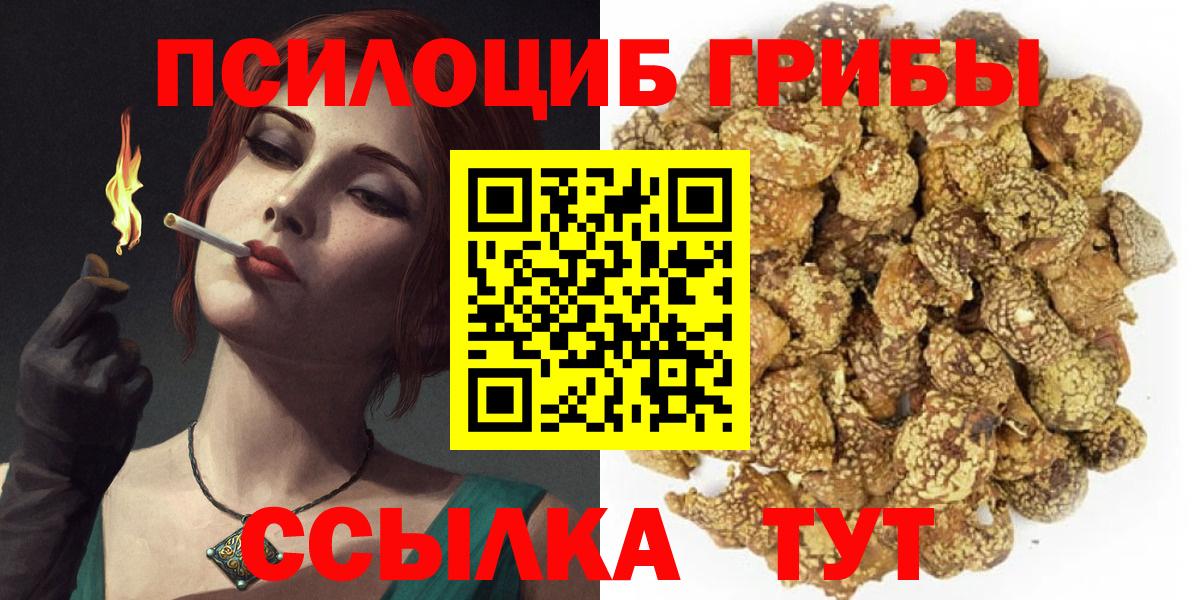 Белая Калитва  Галлюциногенные грибы Cubensis  Вход с VPN 